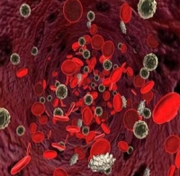 ferritin ferritin
