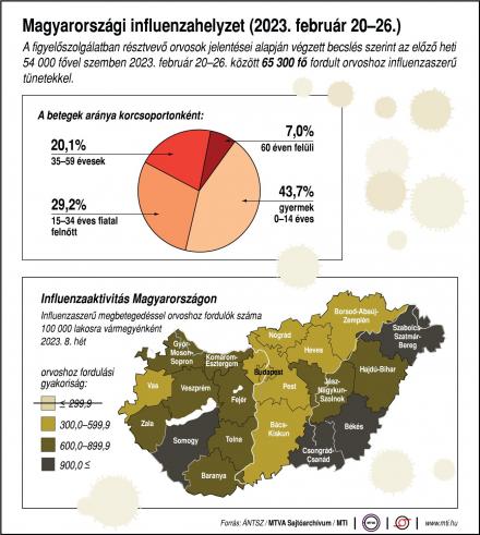 Magyarországi influenzahelyzet