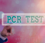 Bécs pcr teszt teaser