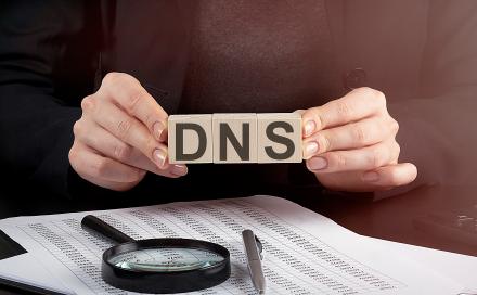 DNS bűnügy