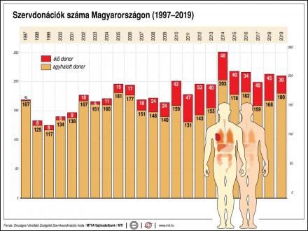 Szervdonáció grafikon MO