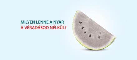 Véradás nyáár