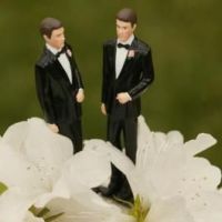 homoszexualitás gén genetika szex szexuális orientáció