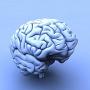 HDL-koleszterin, Alzheimer-kór HDL-koleszterin, Alzheimer-kór
