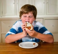 hot dogot evő kövér kisfiú, túlsúlyos, gyerekek, elhízás