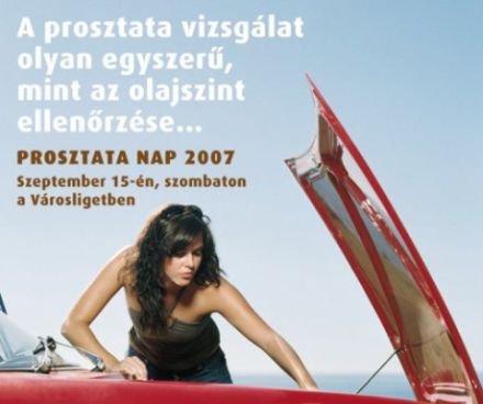 prosztata nap