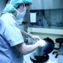 spermabank